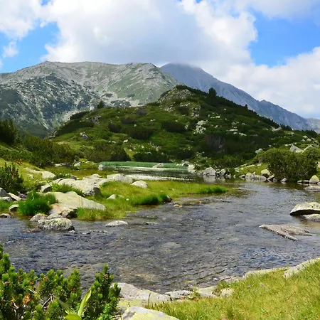 شقة Belvedere Club к501 بانسكو