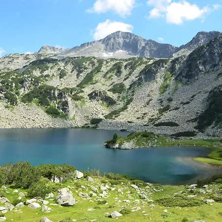 Belvedere Club к501 بانسكو